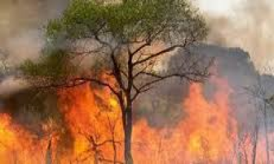 Catasto Incendi