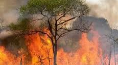 Catasto Incendi