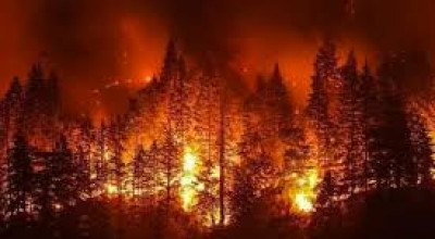 Aggiornamento “Catasto dei boschi e dei pascoli percorsi dal fuoco&rdqu...