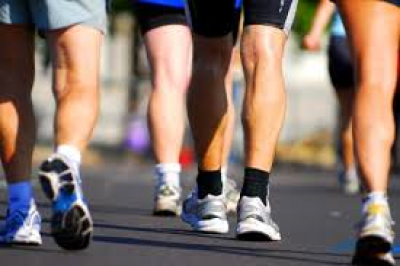 PROGETTO SPORT IN CAMMINO