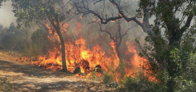 Elenco delle aree percorse da incendi nell'anno 2018 approvati con Determina ...
